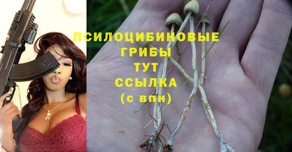 метадон Абаза